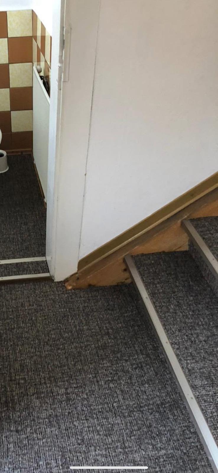 Teppich verlegen im Treppenbereich mit Stufenkantenprofilen im Raum Freiberg